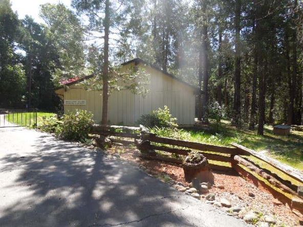 17330 Hummingbird Ln, Brownsville, CA 95919
